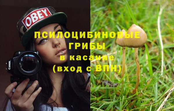 стаф Балахна