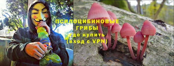 ПСИЛОЦИБИНОВЫЕ ГРИБЫ Балабаново