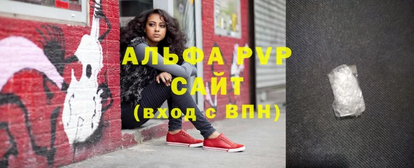 сатива Аркадак
