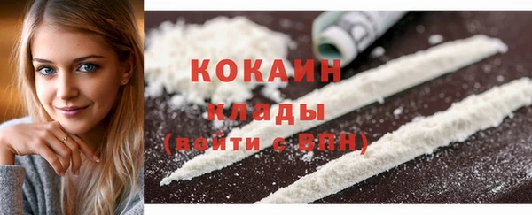 сатива Аркадак