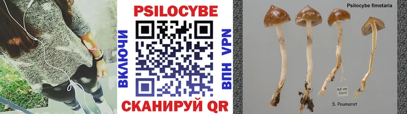 Псилоцибиновые грибы мухоморы  Петухово 